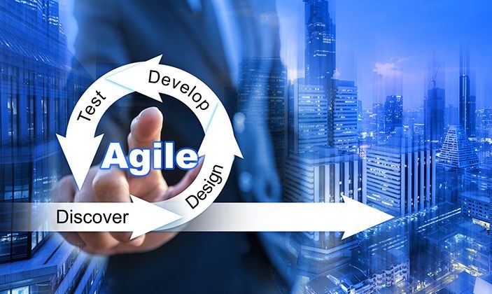 What Are the Key Steps to Making an Organization Agile?