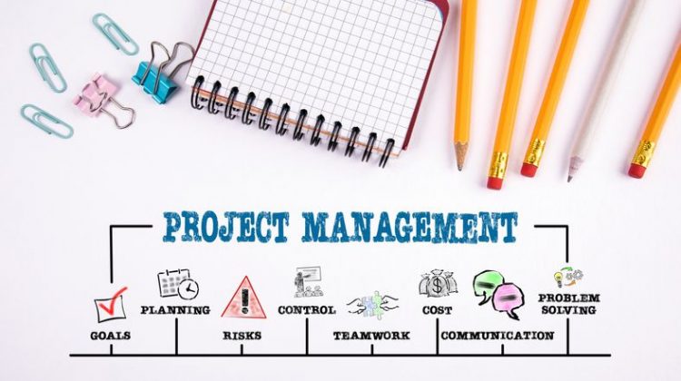 Concept of project management skills and goals