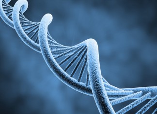 DIY DNA Testing