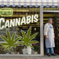 recreational marijuana in colorado