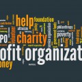 Non-profit Organization