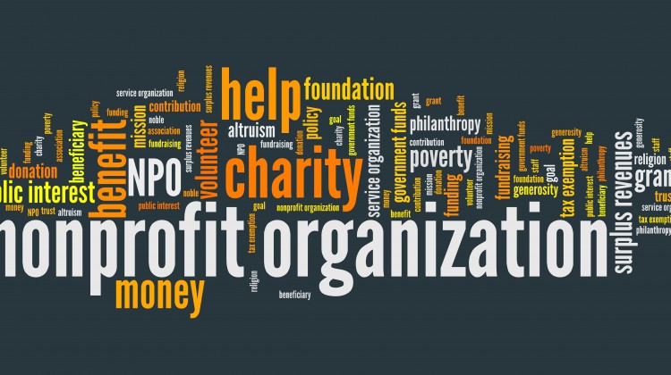 Non-profit Organization