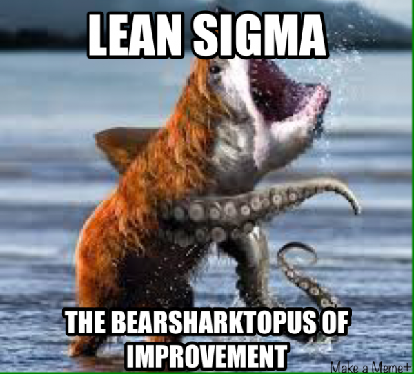 Our Favorite Six Sigma Memes Six Sigma Daily 9280