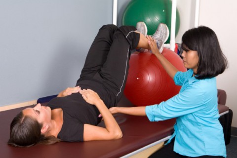 physical therapist